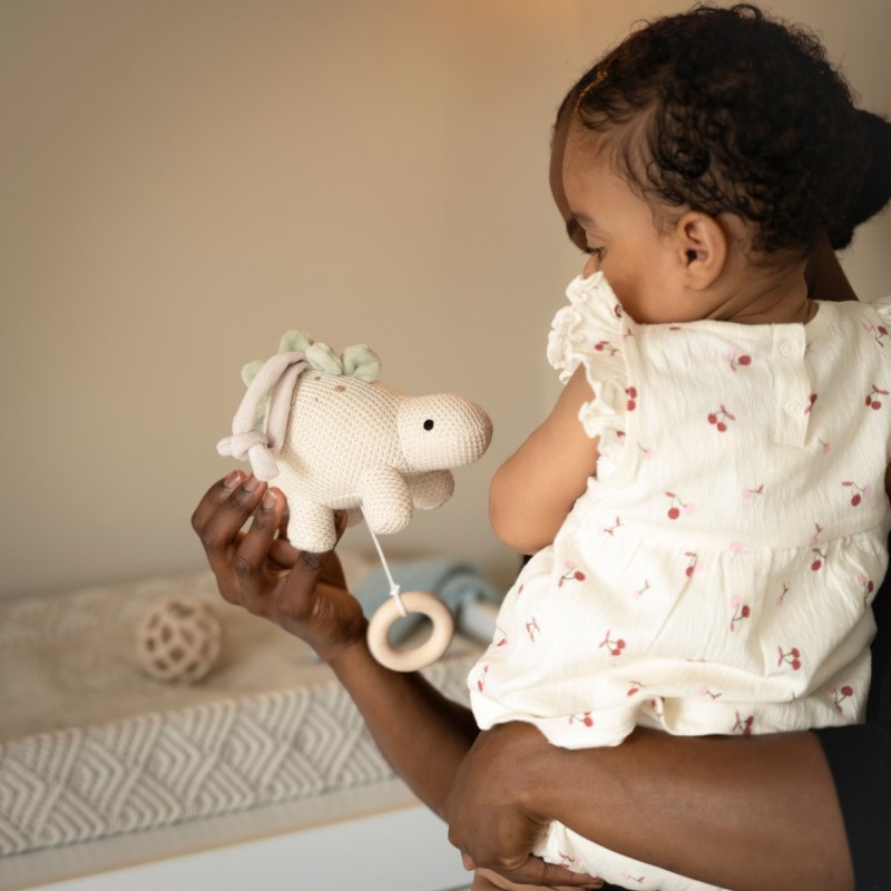 Hrací box (hračka) dino vo farbe laurel green s mechanickým naťahovaním